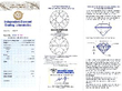 Diamond Ribbon Spray Brooch certificate