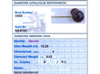 grading card for Victorian Garnet Jockey Cap Pin
