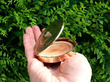Vintage Cartier Compact in Gold open outside