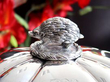 Silver Tureen Dish with Lid detail