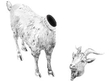 Open Sterling Silver Goat Table Box