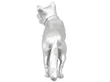 Sterling Fox Pepper