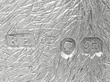 Silver Bird Condiment Set hallmarks