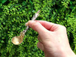 Sterling Silver Salt Spoon outside