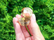 18k Gold Vinaigrette Box in Natural Light