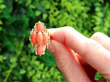 3 Carat Coral Ring in Gold outside