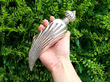 Large Victorian Fluted Silver Flask outside
