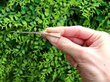 Vintage Gold Shotgun Brooch outside