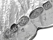 Antique Silver Owl Sugar Box Hallmarks