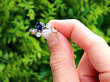 Victorian Diamond and Sapphire Twist Ring outside
