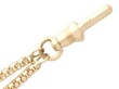 Antique 1.60ct Garnet and 14ct Yellow Gold Chain