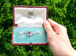 Antique Edwardian 0.26ct Ruby, 1.02ct Diamond, Pearl and Silver Set Insect Bar Brooch