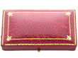 Antique Edwardian Ruby, Diamond, Pearl and Silver Set Insect Bar Brooch In Box