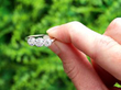 1.89ct Diamond and Platinum Three Stone Ring