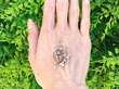 Victorian Emerald Pearl and Diamond Pendant outside