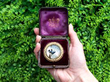 Essex Crystal and Gold Bird Brooch boxed outside
