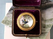 Essex Crystal and Gold Bird Brooch in a box