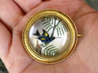 antique Essex Crystal and Gold Bird Brooch