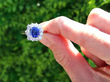 Octagonal Sapphire Ring with Diamonds outside