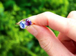 Antique Pink and Blue Sapphire Ring in Yellow Gold outside