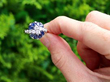 Floral Sapphire and Diamond Ring in White Gold outside