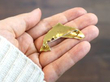 Enamel Salmon Brooch in Yellow Gold reverse