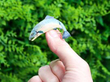 Enamel Salmon Brooch in Yellow Gold outside