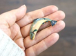 18ct yellow gold enamel salmon brooch