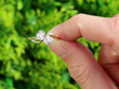 Antique 2 Stone Twist Diamond Ring in Yellow Gold outside