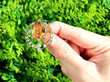 Vintage Orange Topaz Brooch with Diamonds outside
