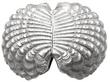Victorian Silver Nutmeg Grater reverse open