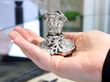 Musician Models Table Figure top half