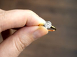 antique 1.09 Carat Diamond Solitaire Ring 8 Claw Set