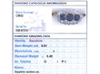 Sapphire Grading Card
