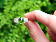 Antique Demantoid Garnet Ring in Yellow Gold outside