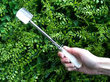 Georgian Sterling Silver Cheese Scoop outside