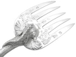 antique Victorian Cast Silver Fish Server close up
