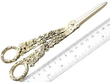 Early Victorian Grape Shears size