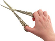 Early Victorian Grape Shears being held