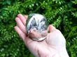 Parrots Head Silver Snuff Box outside