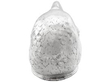 Parrots Head Silver Snuff Box back