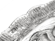 Georgian Silver Footed Sugar Bowl hallmarks