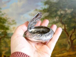 open Round Chinese Silver Tobacco Box