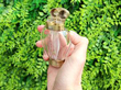 Scent Bottle top open outside