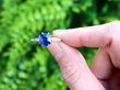 Sapphire Solitaire Ring