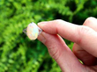 1920s White Opal Ring with Diamonds in Platinum outside