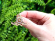 Antique Brooch