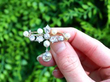 Antique Pearl and Diamond Cluster Bar Brooch outside