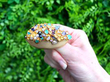 Multi Gemstone Gold Pendant Brooch outside
