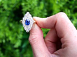 Navette Sapphire Ring in Gold